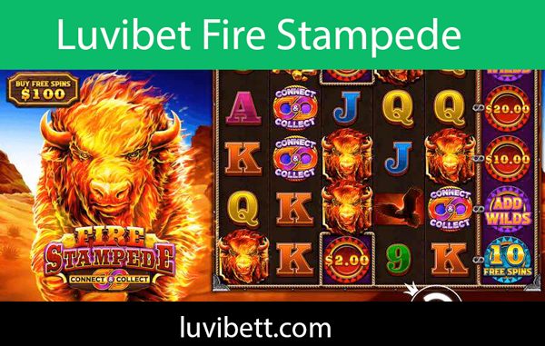Luvibet fire stampede slot oyununa da yer vermektedir.