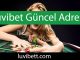 Luvibet güncel adres üzerinden faaliyetlerini başarıyla aktaran yapıdadır.