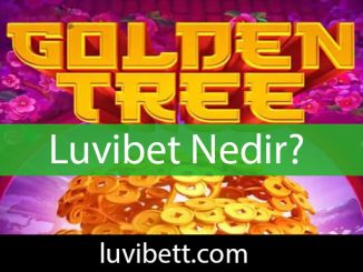 Luvibet nedir sorusuna net yanıt alarak burada yer almak isteyenlerin sayısı her daim artmaktadır.