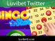 Luvibet twitter sosyal ağıyla daha fazla insana ulaşmaktadır.